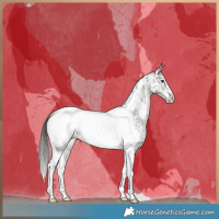 Horse Color:Brown Sabino Tobiano Near Fewspot