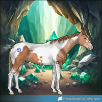Horse Color:Chestnut Tobiano 