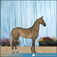 Horse Color:Silver Buckskin Dun Brindle