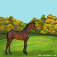 Horse Color:Brown 