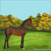 Horse Color:Brown 