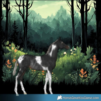 Horse Color:Gray Silver Brown Tobiano Rabicano 