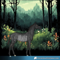 Horse Color:Gray Liver Chestnut Rabicano 