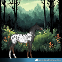 Horse Color:Gray Liver Chestnut Appaloosa Rabicano 