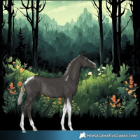 Horse Color:Gray Silver Black Sabino Tobiano Rabicano 