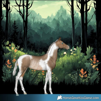 Horse Color:Gray Silver Buckskin Pearl Tobiano Rabicano 