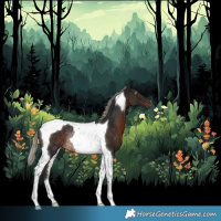 Horse Color:Gray Silver Brown Tobiano Rabicano 