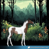 Horse Color:Gray Liver Chestnut Tobiano Rabicano 