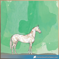 Horse Color:Chocolate Palomino Pearl Dun Near Leopard 