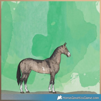 Horse Color:Brown Dun Sabino Brindle 