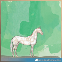 Horse Color:Silver Perlino Dun Near Leopard Brindle 
