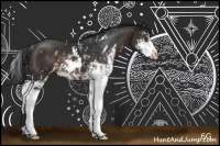 Horse Color:Brown Sabino 