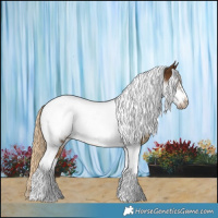 Horse Color:Chocolate Palomino Tobiano Frame