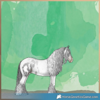Horse Color:Liver Chestnut Tobiano Near Leopard