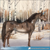 Horse Color:White Spotted Liver Red Dun Brindle 