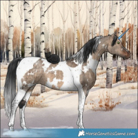 Horse Color:White Spotted Brown Dun Tobiano Brindle