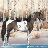 Horse Color:Brown Dun Tobiano Brindle