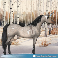 Horse Color:White Spotted Brown Roan Dun