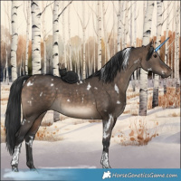 Horse Color:White Spotted Brown Dun Tobiano 