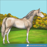 Horse Color:Chocolate Palomino Pearl Dun Sabino Brindle