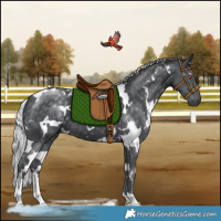Horse Color:White Spotted Silver Black Chinchilla 