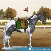 Horse Color:Silver Black Chinchilla Tobiano 