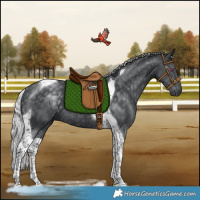 Horse Color:Silver Black Chinchilla Tobiano Rabicano 