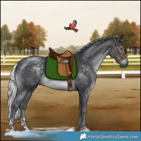 Horse Color:Silver Black Chinchilla Tobiano Rabicano