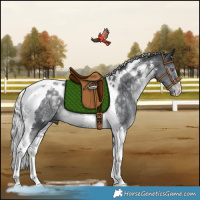 Horse Color:Silver Black Chinchilla Tobiano Rabicano