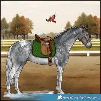 Horse Color:Silver Black Chinchilla Tobiano Rabicano 