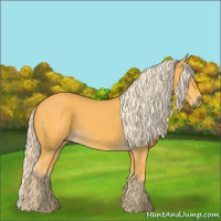 Horse Color:Palomino 