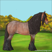 Horse Color:Bay Roan 