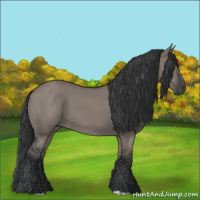 Horse Color:Grullo 