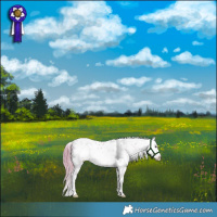 Horse Color:Plaid  White Spotted Liver Red Dun Sabino 