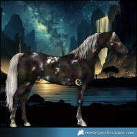 Horse Color:Gray White Spotted Midnight Liver Red Dun Ice Mushroom Tobiano Brindle 