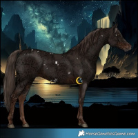 Horse Color:White Spotted Liver Chestnut Ice