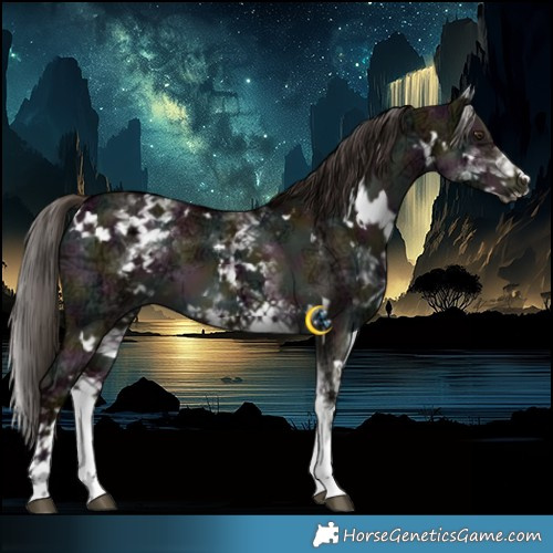 Horse Color:White Spotted Midnight Liver Red Dun Ice 