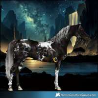 Horse Color:Gray Midnight Liver Chestnut Ice Mushroom Tobiano and Gray White Spotted Midnight Liver Chestnut Ice Splash Tobiano
