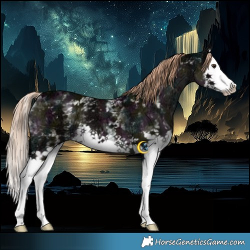 Horse Color:White Spotted Midnight Liver Red Dun Ice Splash