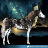 Horse Color:White Spotted Midnight Liver Red Dun Ice Splash 