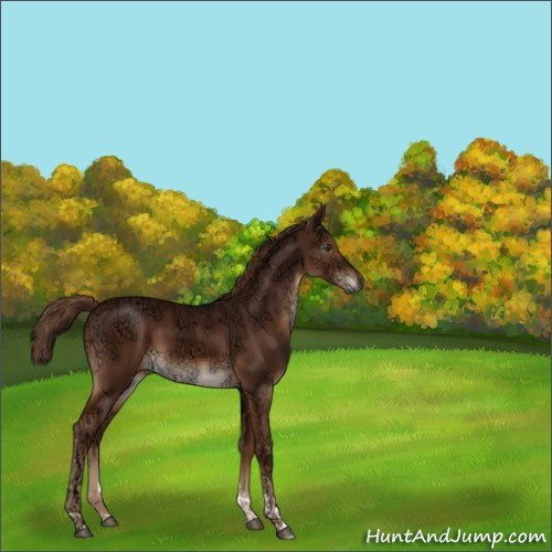 Horse Color:Gray Chestnut Ice Tobiano 