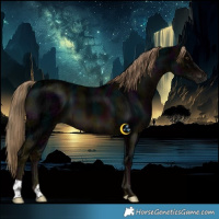 Horse Color:Gray Midnight Liver Chestnut Ice 