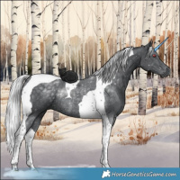 Horse Color:Silver Black Chinchilla Tobiano Rabicano 