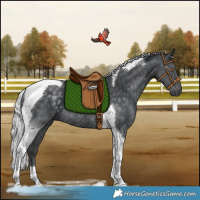 Horse Color:Silver Black Chinchilla Tobiano Rabicano 