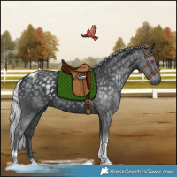 Horse Color:Silver Black Chinchilla Tobiano Rabicano 