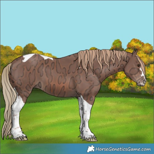 Horse Color:Chestnut Ice Tobiano 