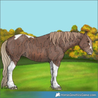 Horse Color:Chestnut Ice Tobiano 