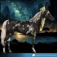Horse Color:White Spotted Liver Chestnut Ice Mushroom 