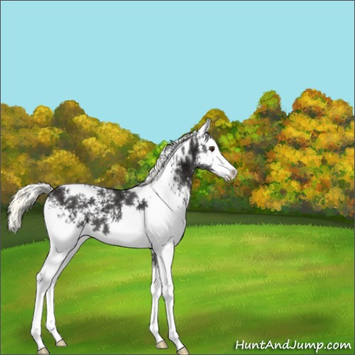 Horse Color:White Spotted Liver Chestnut Ice Mushroom 
