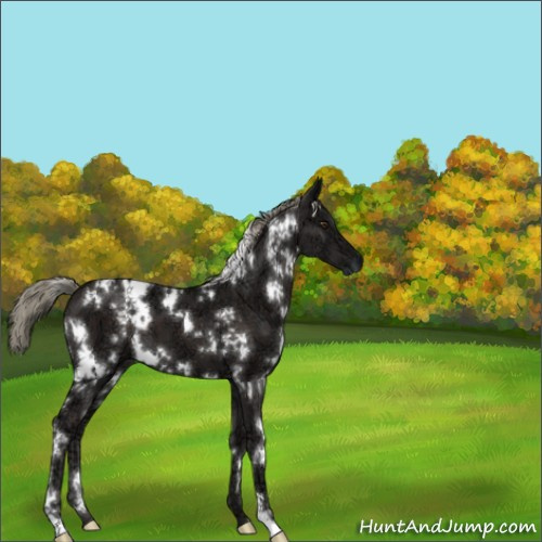 Horse Color:White Spotted Liver Chestnut Ice Mushroom 